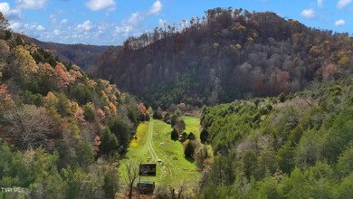 Clinch River Acreage For Sale in Duffield Virginia