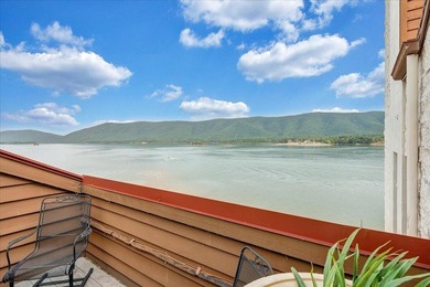 Best views at Smith Mountain Lake from this 5th Floor Penthouse - photo 13