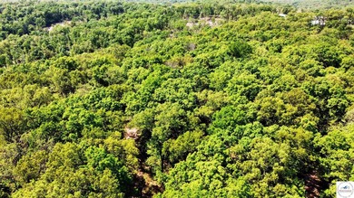 Here is a unique opportunity. Located just 3.7 miles (about 5 - photo 7