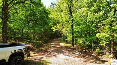 Here is a unique opportunity. Located just 3.7 miles (about 5 - photo 10