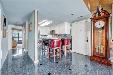 Best views at Smith Mountain Lake from this 5th Floor Penthouse - photo 24
