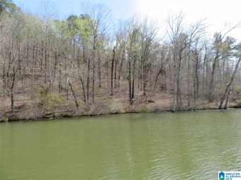 The long anticipated lake front lots in Eagle Point on Lake - Lake Lot For Sale in Rockford, Alabama