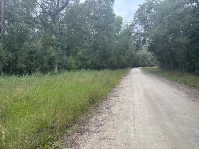 Suwannee River - Gilchrest County Lot For Sale in Branford Florida