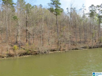 The long anticipated lake front lots in Eagle Point on Lake - Lake Lot For Sale in Rockford, Alabama