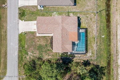 Brand New Roof! Welcome home to this beautifully renovated pool - photo 37
