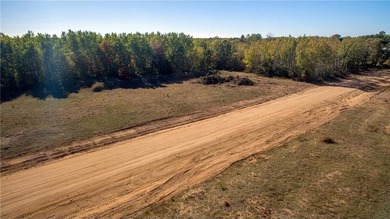 Great opportunity to build in a residential storage park in the - photo 4