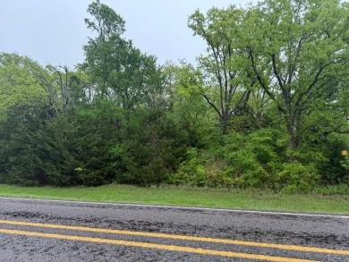 Lake Lot For Sale in Wills Point, Texas