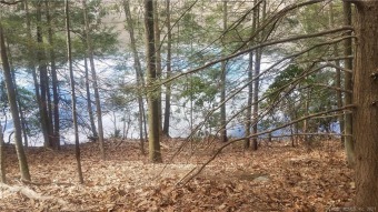 Lake Lillinonah Acreage For Sale in Southbury Connecticut