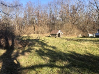 Spin Lake Acreage For Sale in Danvers Illinois