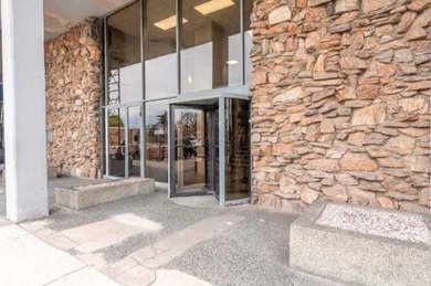 Tastefully upgraded fully furnished Elmwood Park Studio Condo on