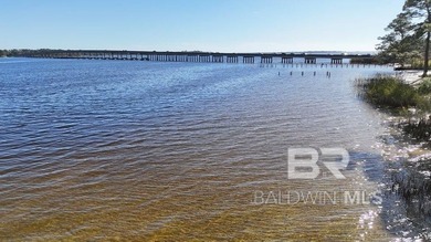 Waterfront Mixed-Use OpportunityLillian, Alabama | Perdido Bay | - photo 22