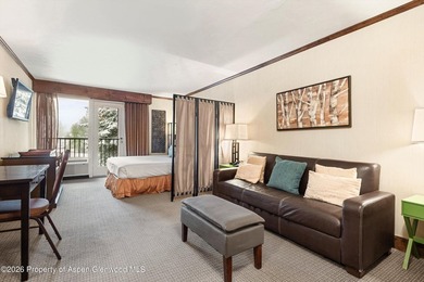Secure this rare opportunity to own a ski-in/ski-out investment - photo 1