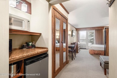 Secure this rare opportunity to own a ski-in/ski-out investment - photo 5