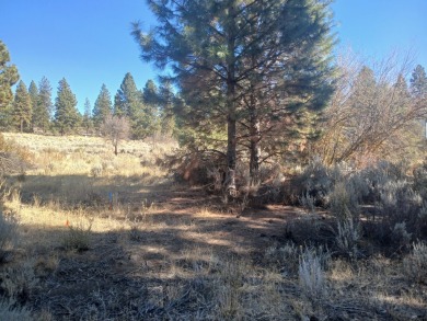 Lake Lot For Sale in Chiloquin, Oregon