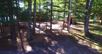 Large Michaywe home on a quiet cul-de-sac set in the wood. This - photo 42