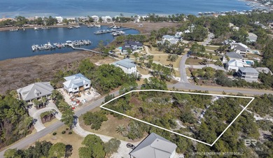 (private lake, pond, coastal) Lot For Sale in Orange Beach Alabama