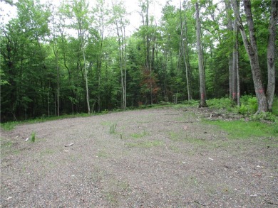 (private lake, pond, creek) Lot For Sale in Birchwood Wisconsin