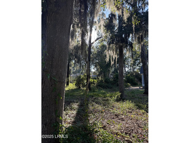 Amazing homesite in Pigeon Point with beautiful specimen trees - photo 3