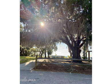 Amazing homesite in Pigeon Point with beautiful specimen trees - photo 6