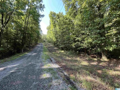 Logan Martin Lake Lot For Sale in Talladega Alabama