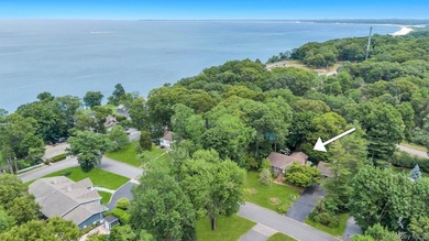 Once-in-a-lifetime opportunity to own a spectacular residence - photo 9