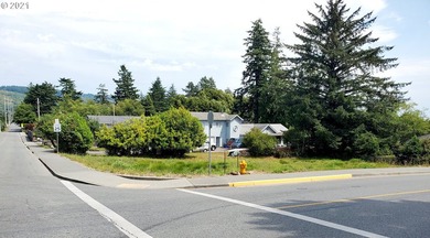 Bring your Contractor and your Plans! Zoned MULTI-FAMILY (R3) in - photo 7