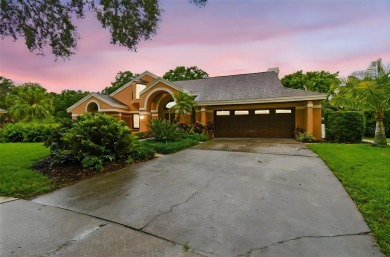 Lake Tarpon Home For Sale in Palm Harbor Florida