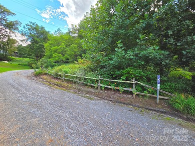 (private lake, pond, creek) Lot Active Under Contract in Waynesville North Carolina