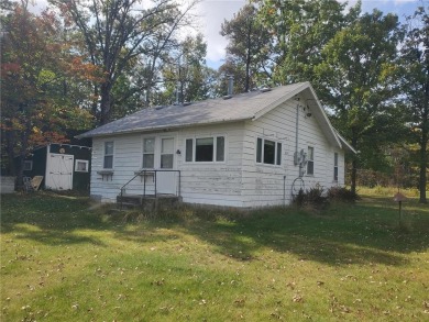 Lake Home For Sale in Torrey Twp, Minnesota
