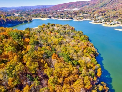 Building Lot in Walnut Bend on Cherokee Lake - Lake Lot For Sale in Whitesburg, Tennessee