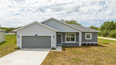 Lake Marion - Polk County Home Sale Pending in Poinciana Florida