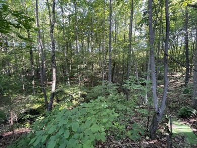 Extraordinary Luxury Estate & Income-Producing Property! This - photo 37