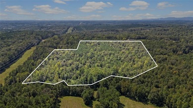 Come see this amazing piece of acreage! Over 25 acres of - photo 4