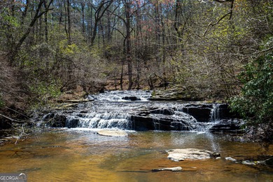 (private lake, pond, coastal) Acreage Sale Pending in Pine Mountain Georgia