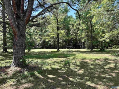 Lake Acreage For Sale in Cedar Bluff, Alabama
