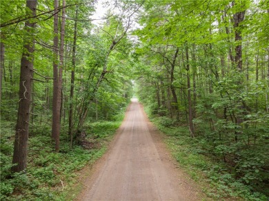 Grindstone Lake Lot For Sale in Hayward Wisconsin