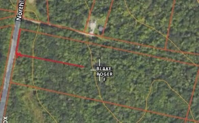 Swan Lake - Waldo County Acreage For Sale in Frankfort Maine