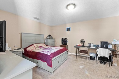 Property is a Repaired Sinkhole. Big family? No problem! - photo 11