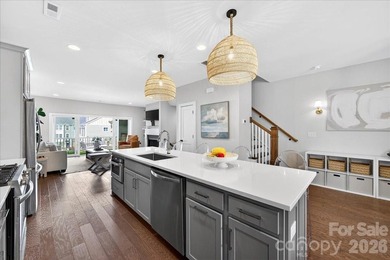 Welcome to 334 Armour Street, a beautifully designed townhome - photo 22