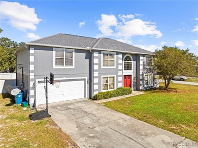 Property is a Repaired Sinkhole. Big family? No problem! - photo 49