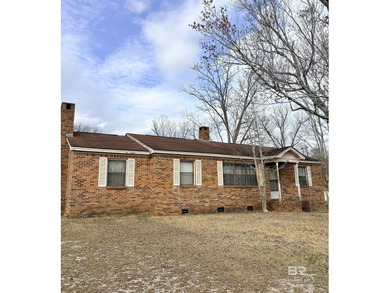 (private lake, pond, coastal) Home For Sale in Evergreen Alabama