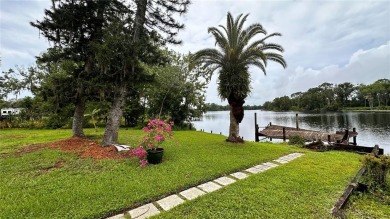Lake Home For Sale in Odessa, Florida