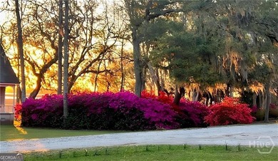 RARE OPPURTUNITY for highly desirable +/- 1/2 ACRE lot with - photo 4