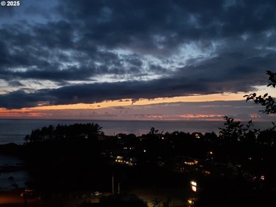 Unlimited View! 180 degrees of unobstructed Ocean View. SUNSETS - photo 25