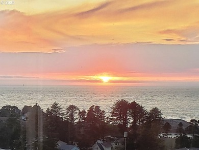 Unlimited View! 180 degrees of unobstructed Ocean View. SUNSETS - photo 31