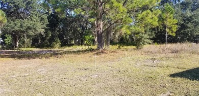 Lake Grassy Lot For Sale in Lake Placid Florida