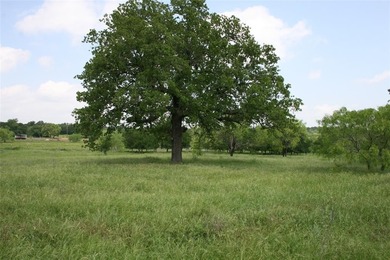 (private lake, pond, creek) Acreage For Sale in Mineral Wells Texas