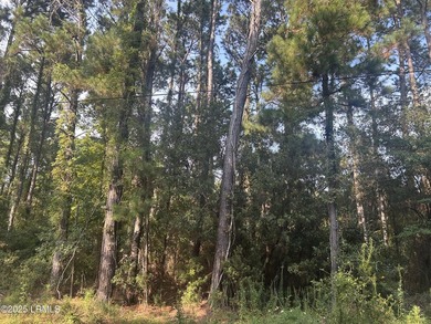 Unique marshfront homesite on St. Helena Island. Located in the - photo 2