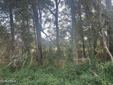 Unique marshfront homesite on St. Helena Island. Located in the - photo 3
