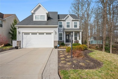 (private lake, pond, creek) Home Active Under Contract in Reminderville Ohio